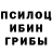 Псилоцибиновые грибы Psilocybe Kimberly Rostran