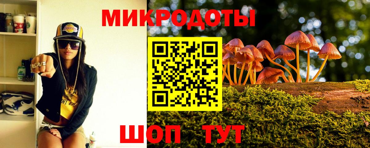 Псилоцибиновые грибы Cubensis Вятские Поляны